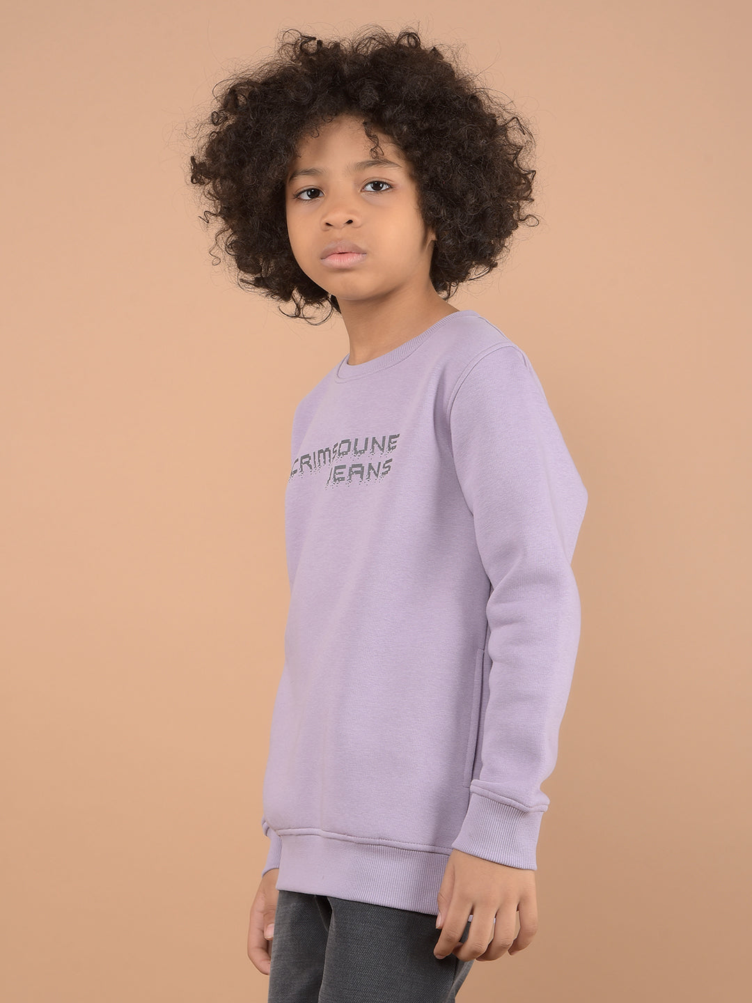 Purple Typographic Print Sweatshirt-Boys Sweatshirts-Crimsoune Club