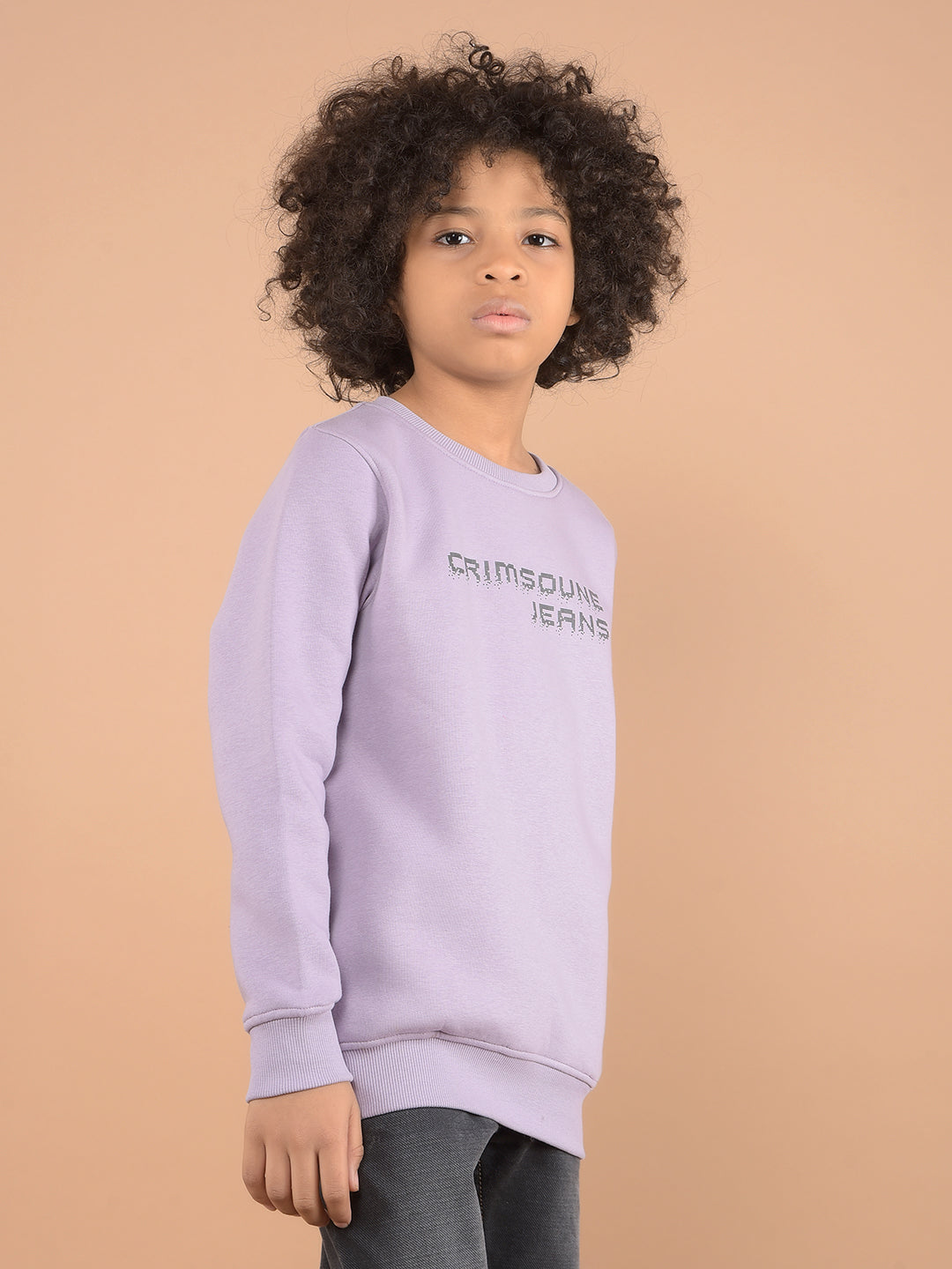 Purple Typographic Print Sweatshirt-Boys Sweatshirts-Crimsoune Club