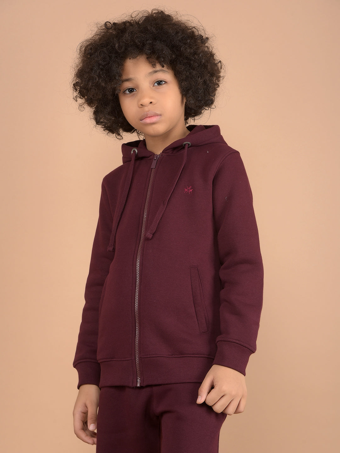 Wine Hooded Neck Sweatshirt-Boys Sweatshirts-Crimsoune Club