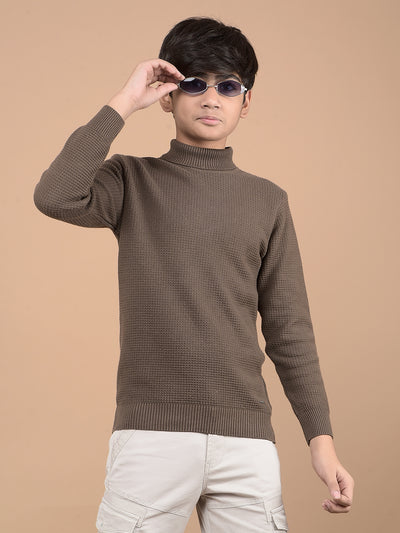 Brown High Neck 100% Cotton Sweater