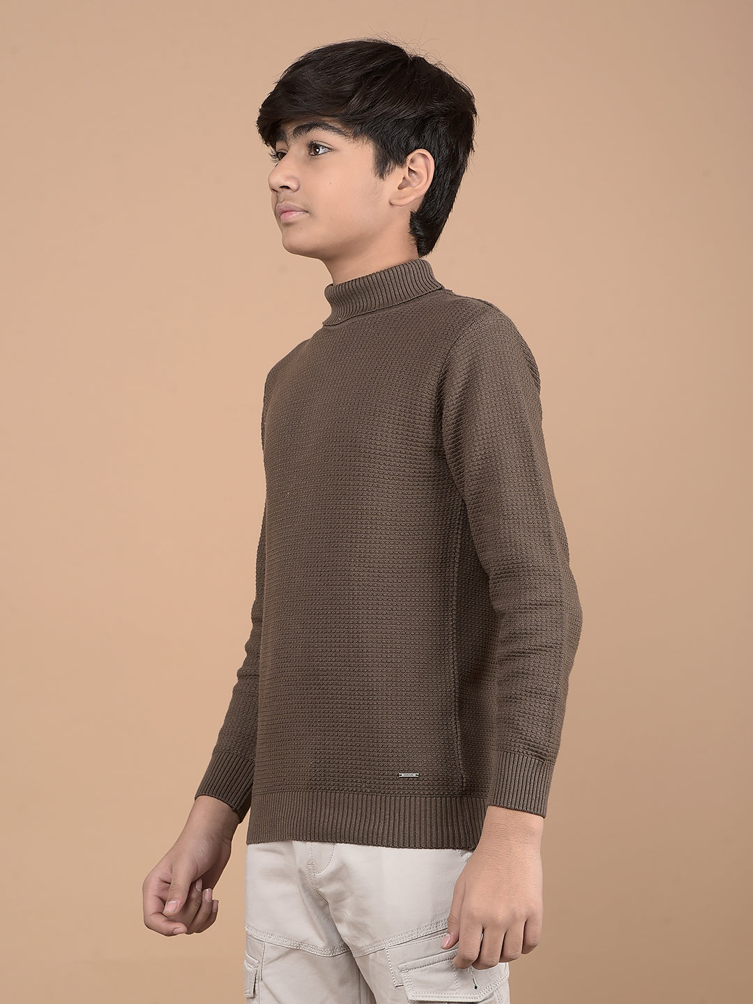 Brown High Neck 100% Cotton Sweater