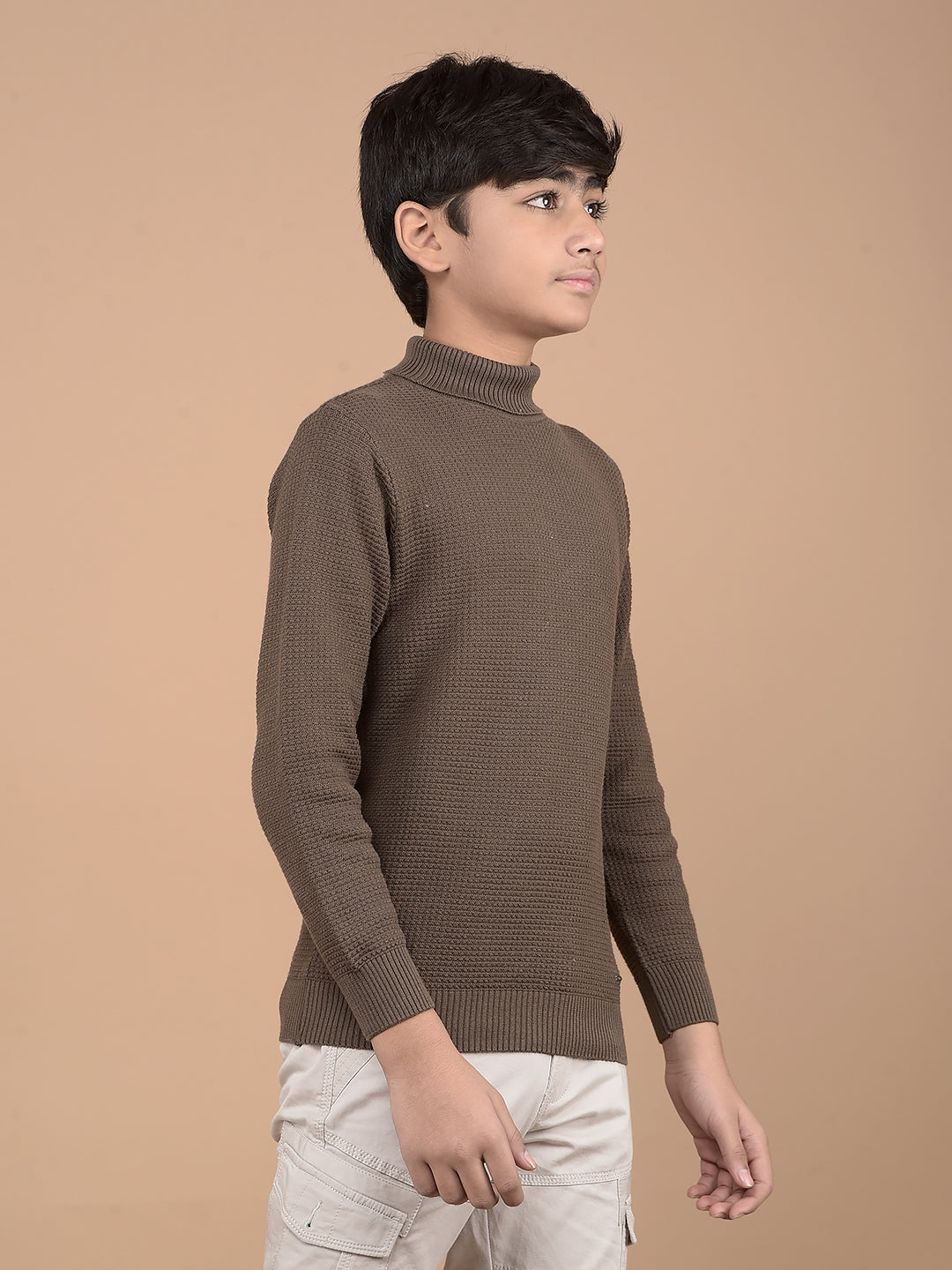 Brown High Neck 100% Cotton Sweater