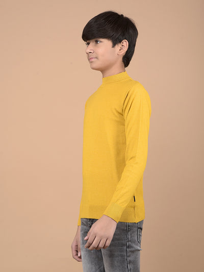 Mustard High Neck Sweater