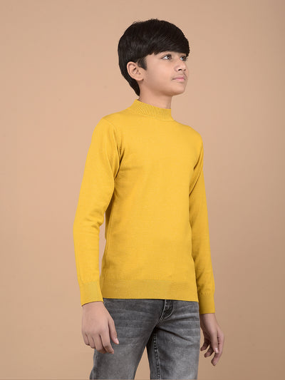 Mustard High Neck Sweater