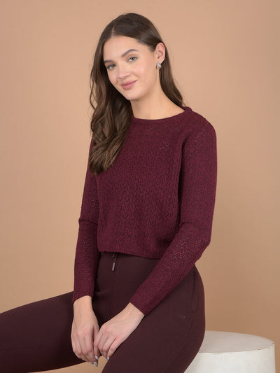 Wine Embroidered Crop Length Acrylic Sweater-Women Sweaters-Crimsoune Club