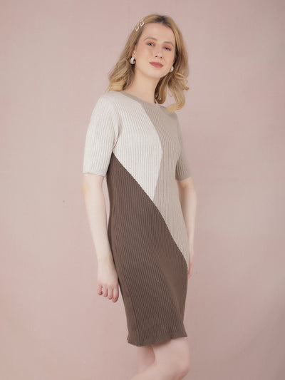 Brown Color-Blocked Long Length Sweater-Women Sweaters-Crimsoune Club