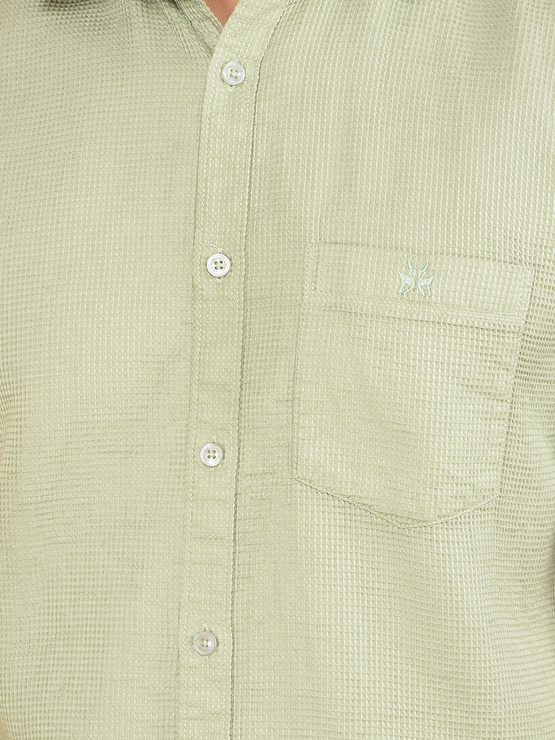 Green 100% Cotton Shirt-Men Shirts-Crimsoune Club