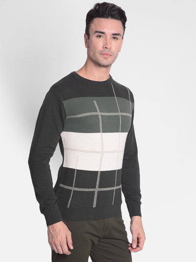 Olive Colourblocked Sweater-Men Sweaters-Crimsoune Club