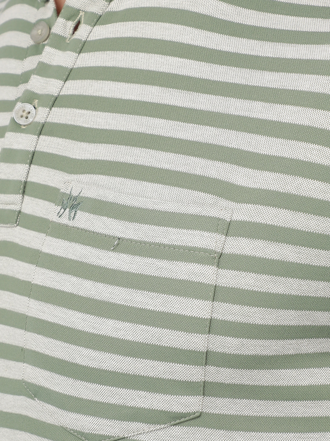 Green Horizontal Stripes Polo Neck T-Shirt-Men T-Shirts-Crimsoune Club