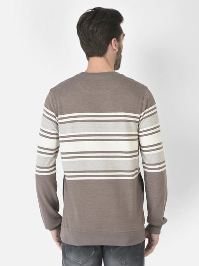  Brown Striped Sweatshirt 