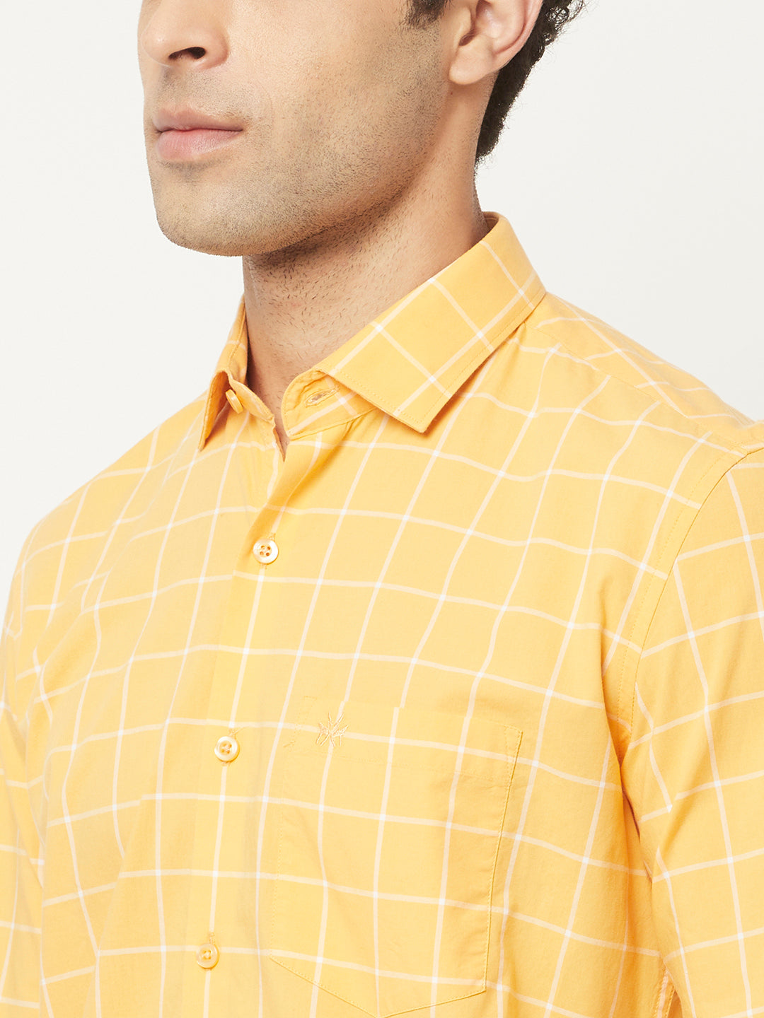   Yellow Shirt in Graph Checks